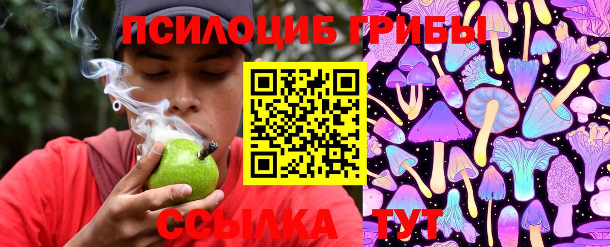 Галлюциногенные грибы Psilocybe Мончегорск